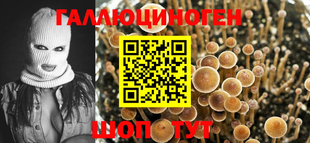 Псилоцибиновые грибы Cubensis  Вход с VPN  Апшеронск 