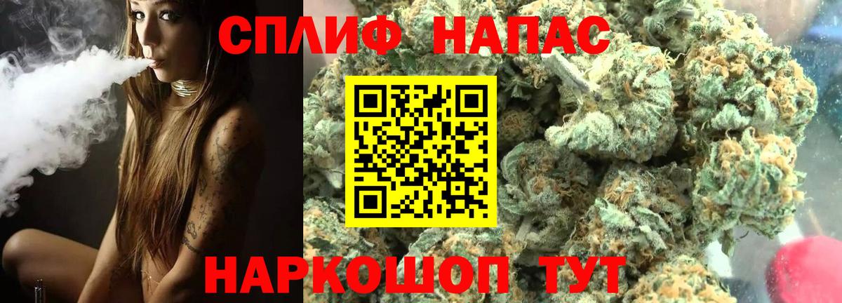 Каннабис ГИДРОПОН Апшеронск